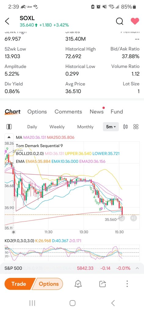 soxl downward