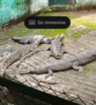 Holographic/VR/AR Industry Development Weekly Report, Week 42, 2025 (October 20-26)