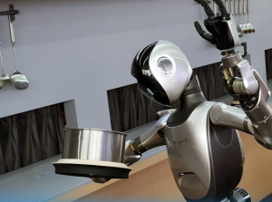 The humanoid robot industry is experiencing a surge in consumer demand, with concept stocks spearheading