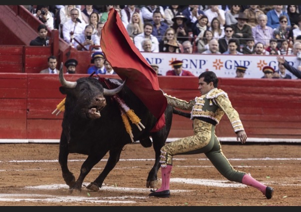 I am the Bull