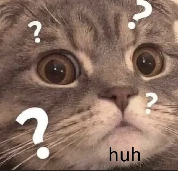 啊？