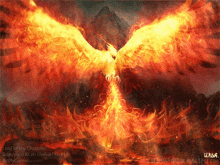 $Ripple (XRP.CC)$ PHEONIX