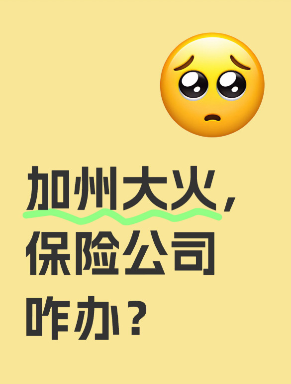 加州大火，哪家保險公司有影響？