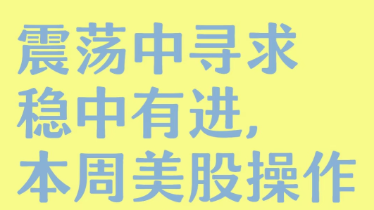 震荡中寻求稳中有进，本周美股操作总结