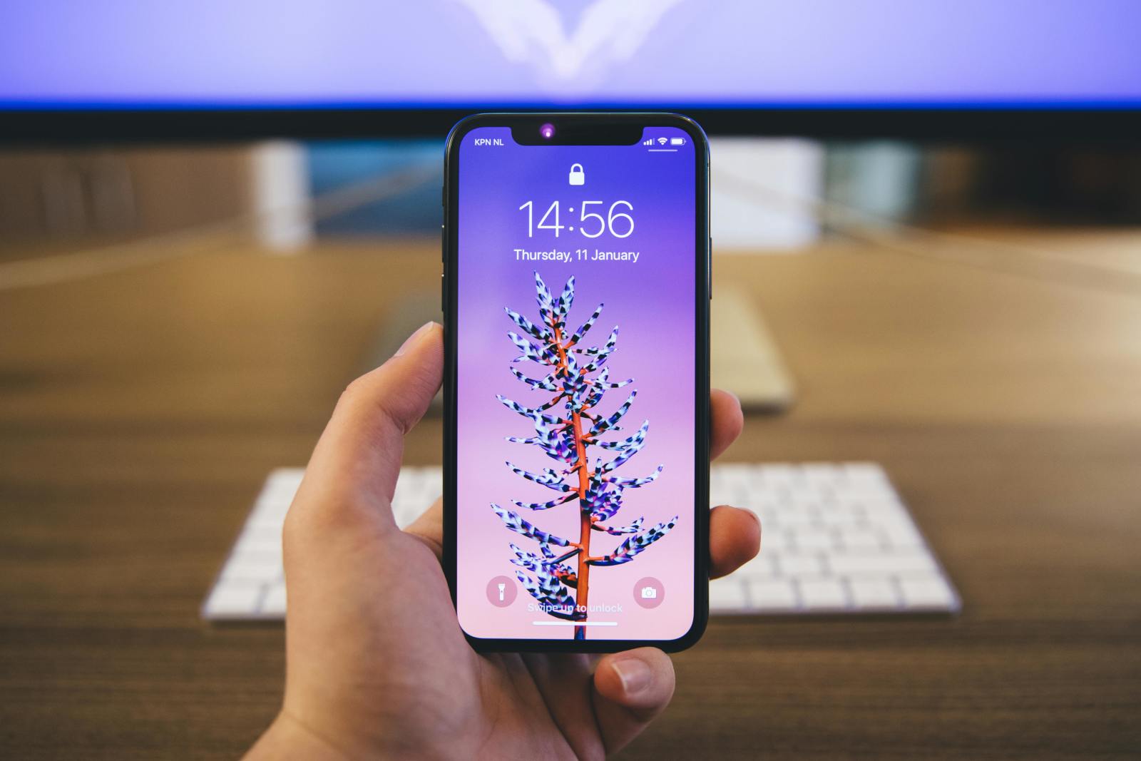 iPhone 16e 发布后，苹果（AAPL）股价是否具备上涨潜力？——美股101 深度解析- moomoo 社区