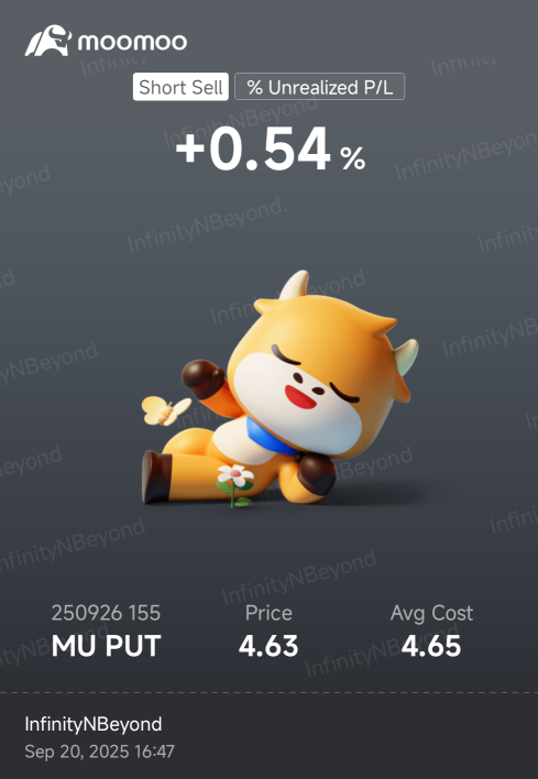 9月期權策略：不要與聯儲局對抗，利用期權在歷史高點降低入場風險。