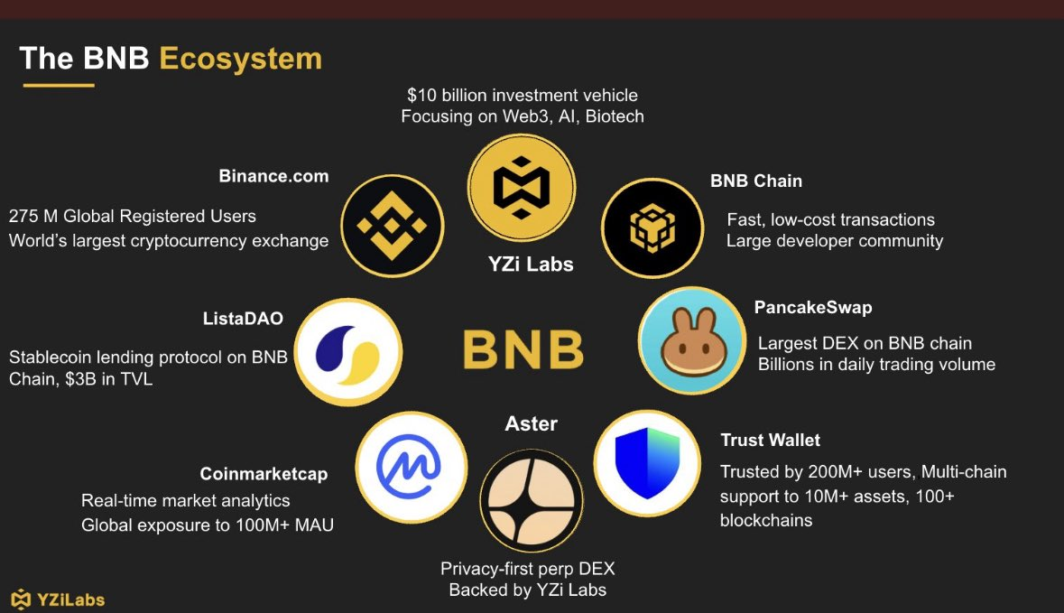 从赦免到强者：解析BNB后监管时代的投资逻辑