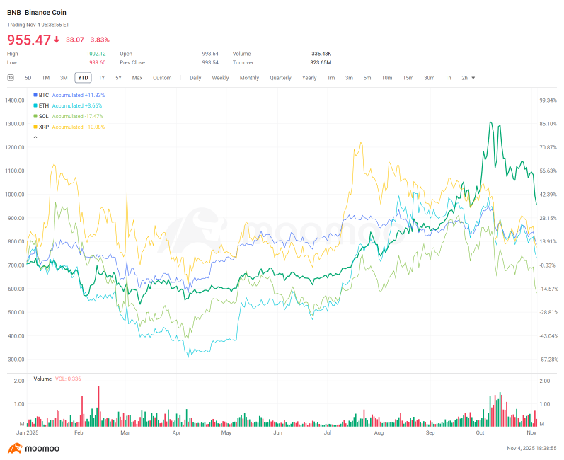 Binance Coin：作爲加密藍籌股應對市場波動