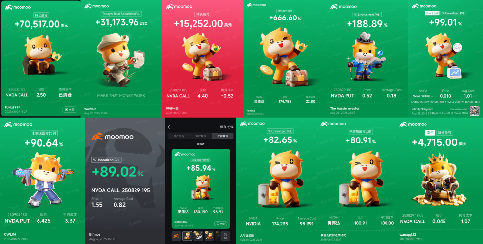 🚀 英偉達業績後的過山車：該抄底還是該撤退？ 🎢