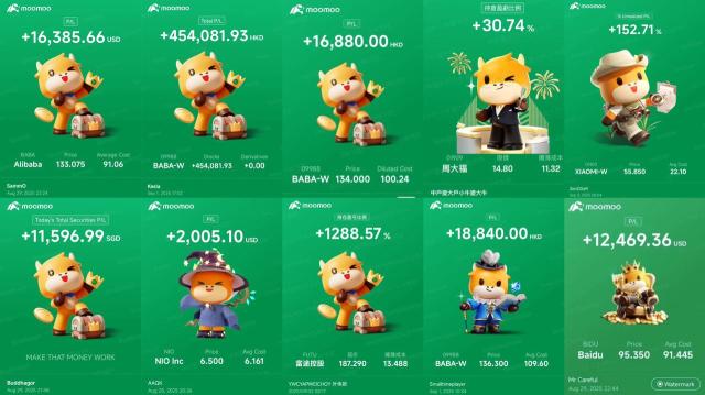 中國科技公司業績：阿里巴巴表現突出，電動車企業面臨挑戰