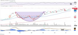 Palantir自八月以來上漲超過600%。它的圖表顯示了什麼？