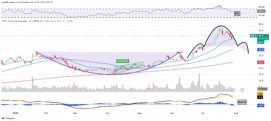 Rocket Lab 在 12 個月內上漲超過 800%。它的圖表顯示了什麼？