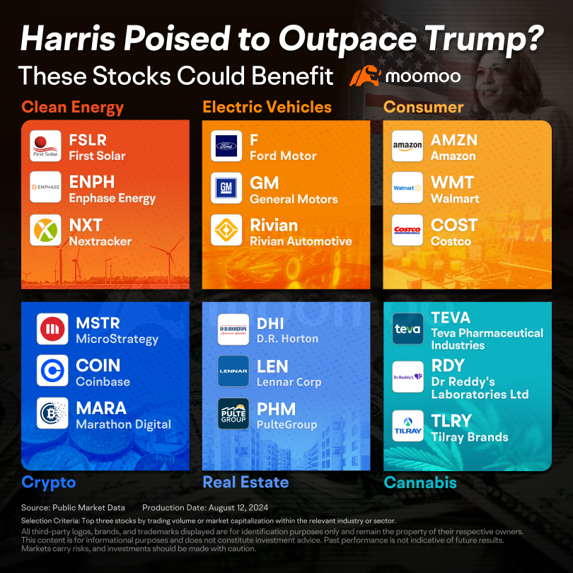 Harris Leads Trump in Polls. Which Stocks Could Benefit from Her Policies?