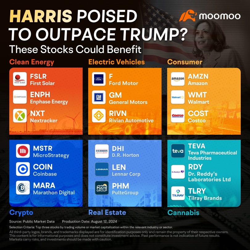 Harris Leads Trump in Polls. Which Stocks Could Benefit from Her Policies?