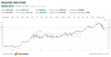 Can Gold's Rally Last? Capitalizing on Investment Opportunities