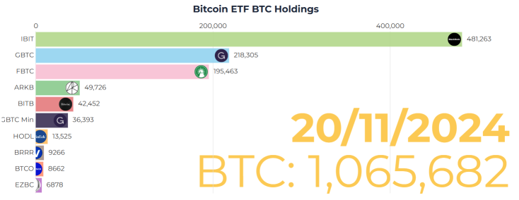 Bitcoin Surges Towards $100,000: Who's Driving the Rally and What's Next