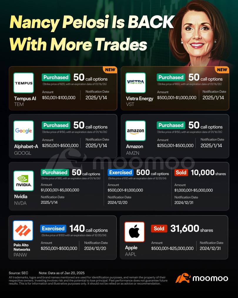 Beyond Nvidia, Nancy Pelosi Also Bets on This AI Stock