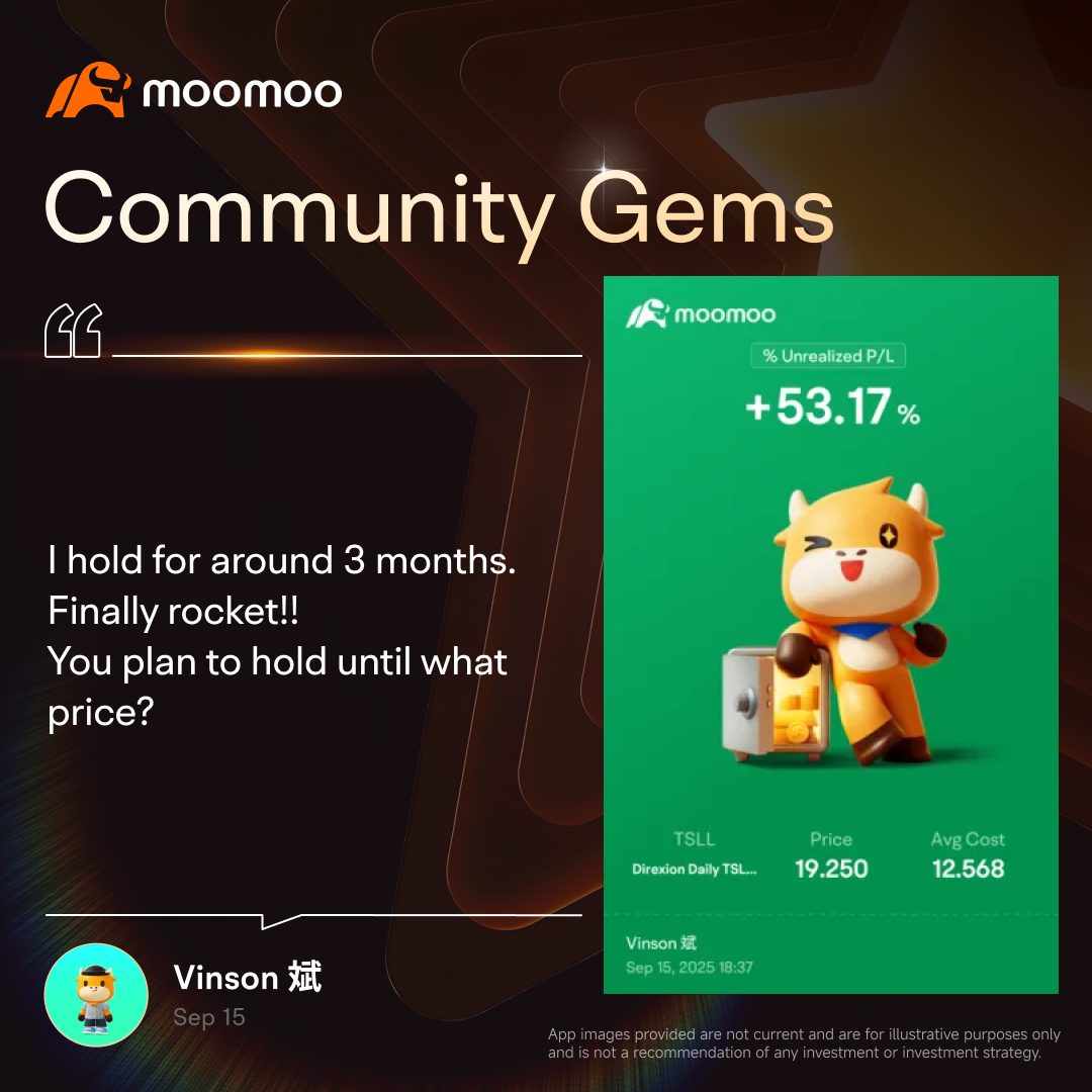 🔥 社区宝石 | 长期投资与期权策略