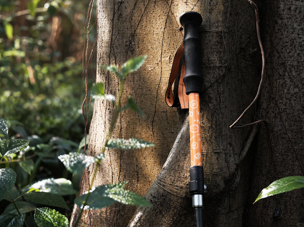 🥾 Meet the Moomoo Hiking Pole, Your New Trail Buddy!