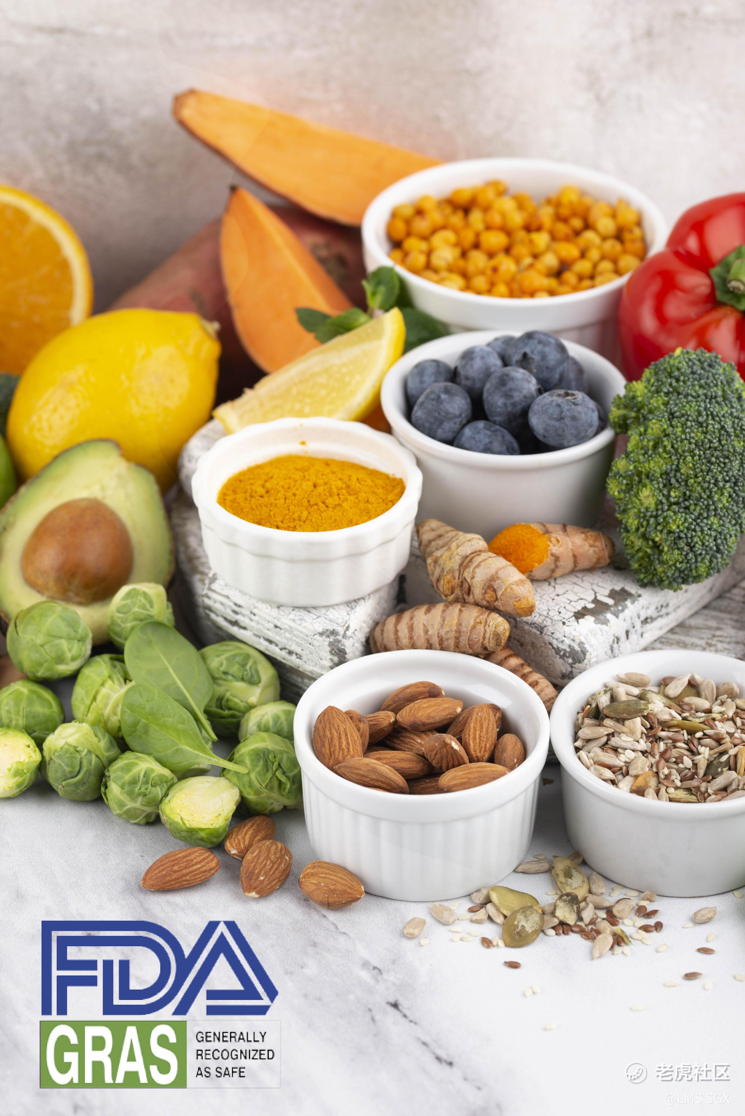 Accelerating Novel Food Registration in ASEAN–China